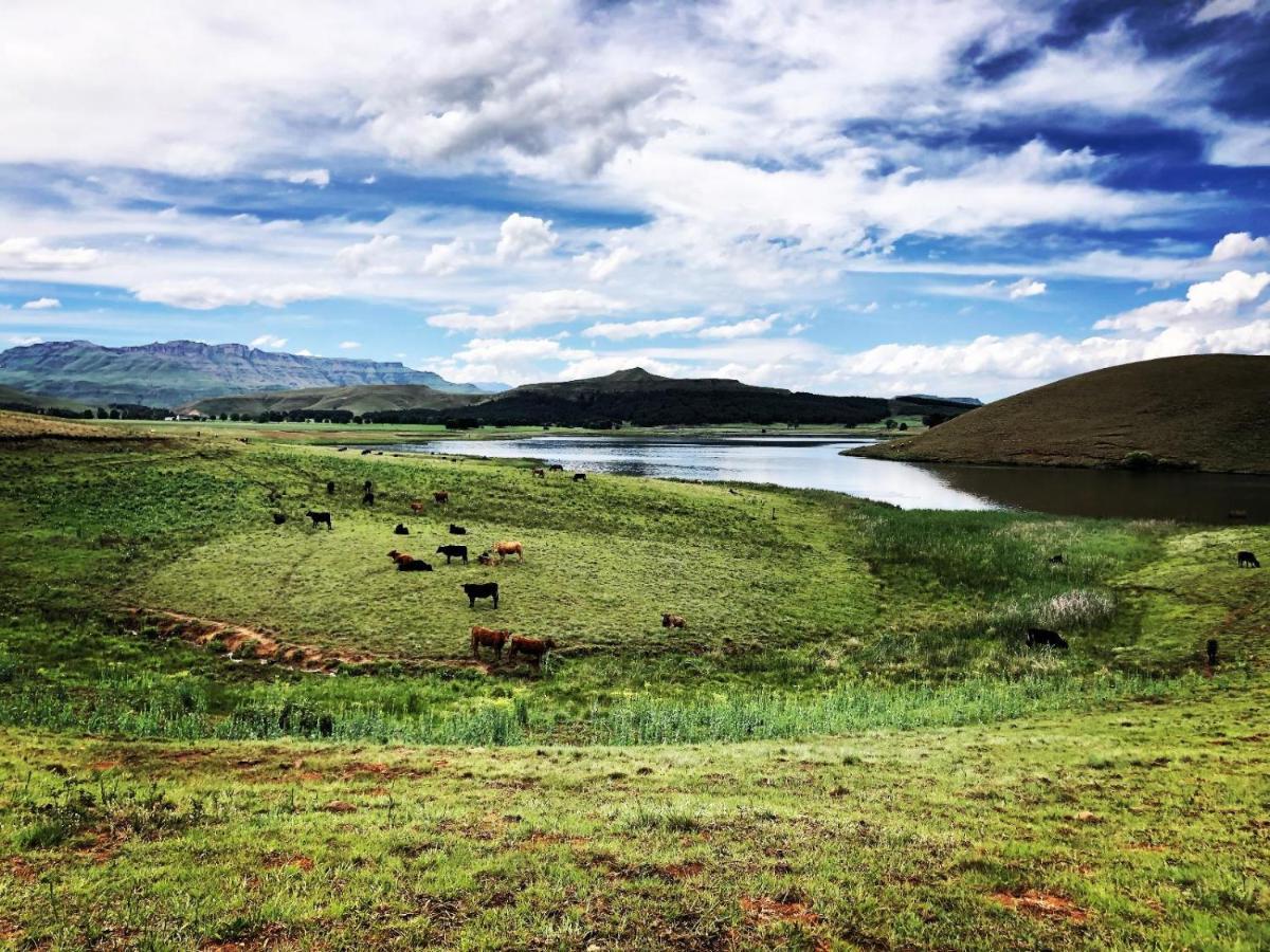 Lake Glencairn Underberg Luaran gambar