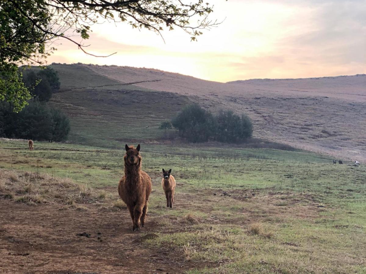 Lake Glencairn Underberg Luaran gambar